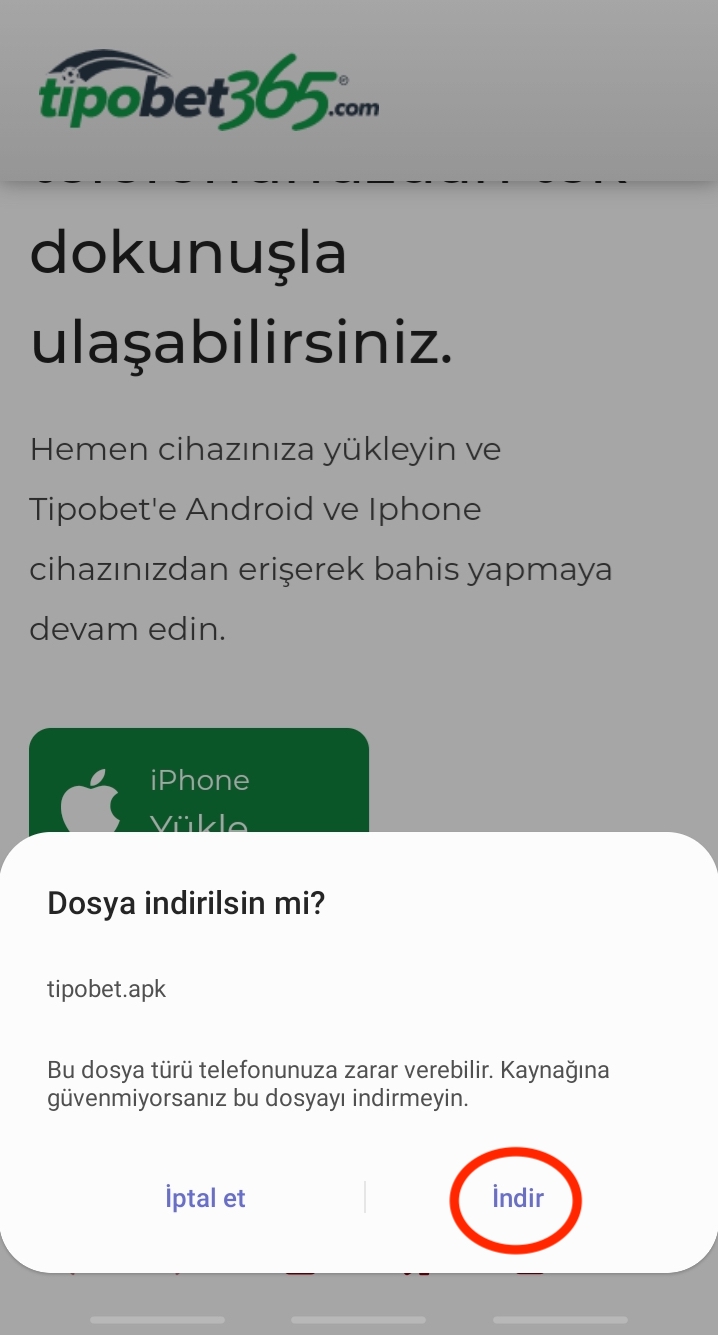 Tipobet Android